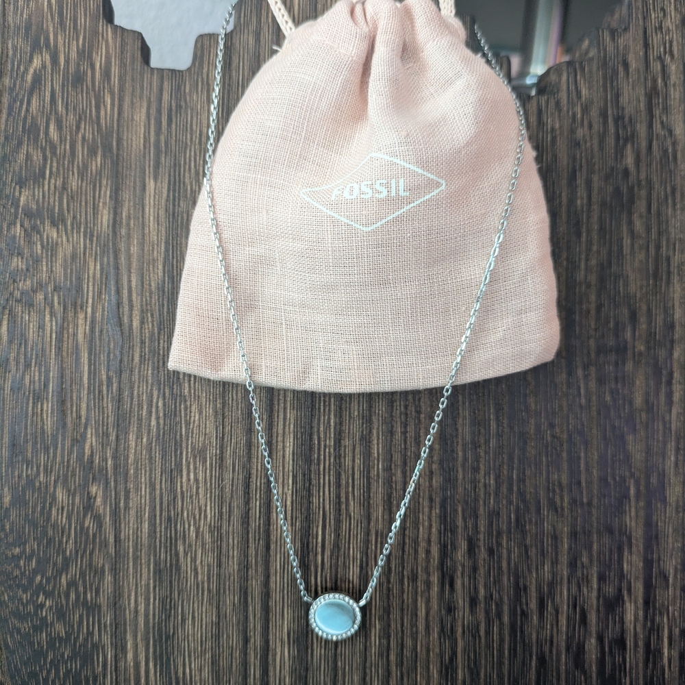 Fossil Silver Chain Necklace With Pave Crystal Circle Pendant